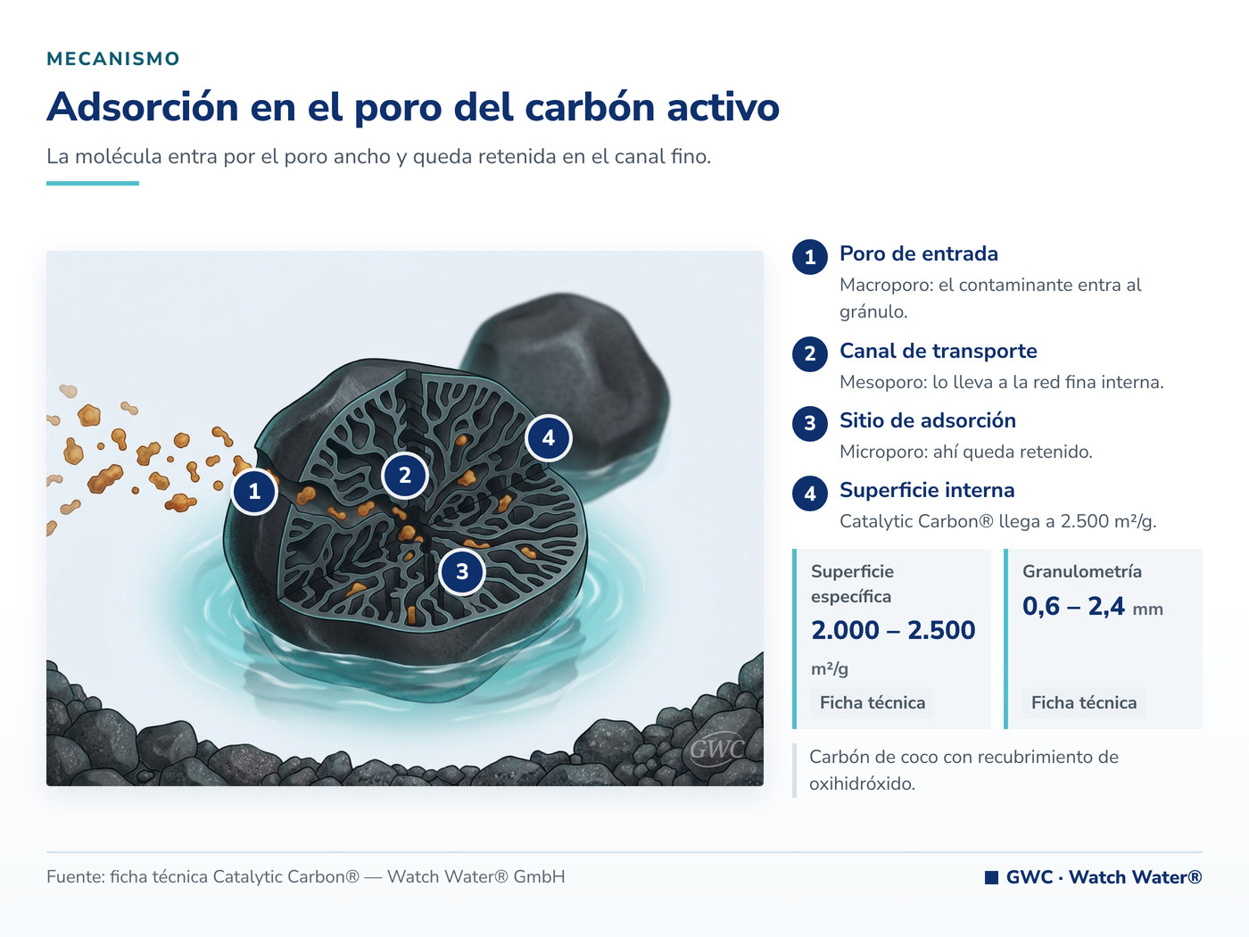 Adsorción con carbón activo: macroporo, mesoporo y microporo en el mismo gránulo