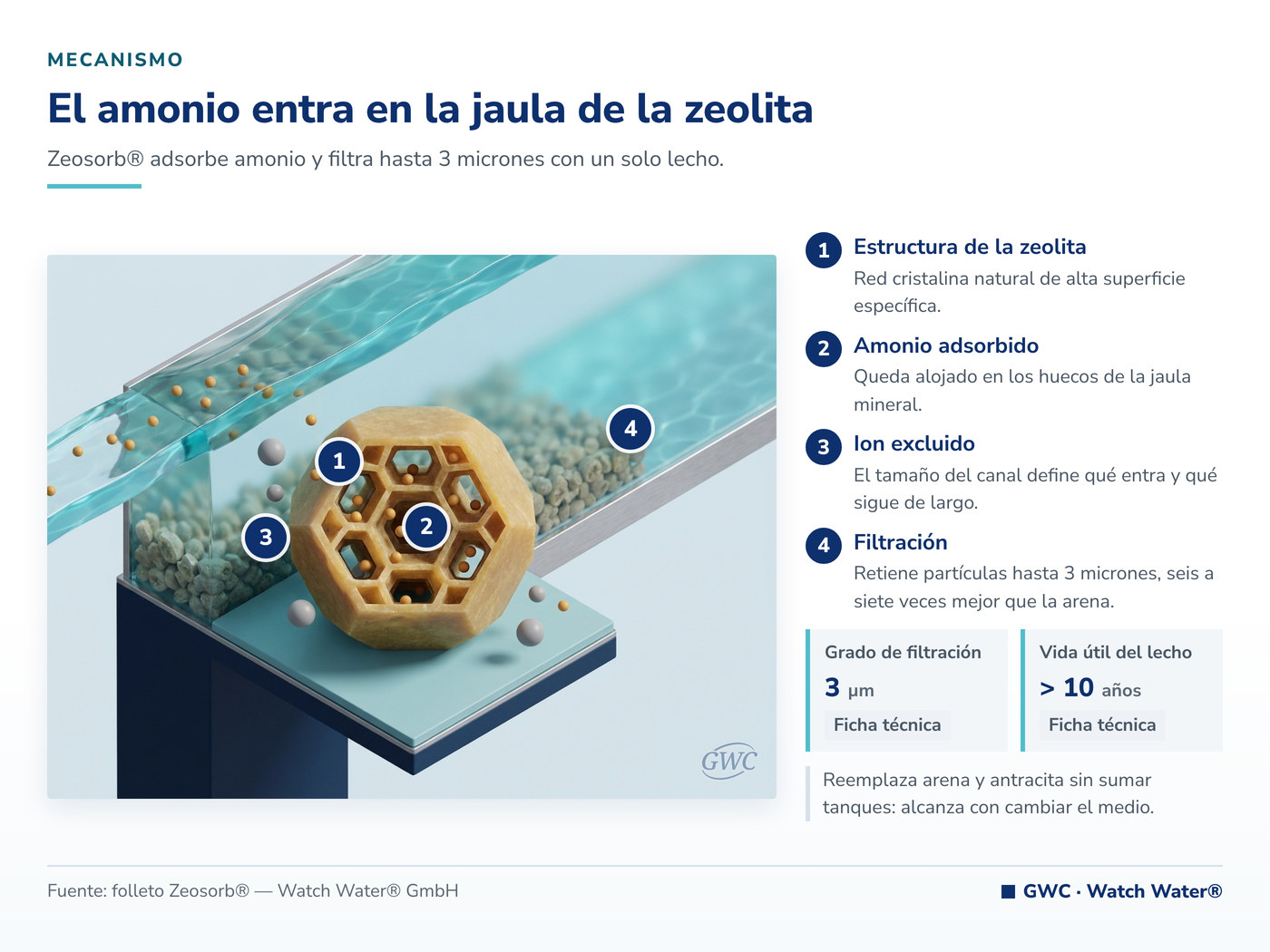 Amoníaco en el agua: el amonio queda alojado en la jaula cristalina de la zeolita