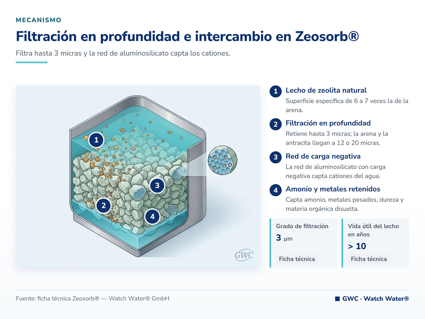 Filtración en profundidad e intercambio en Zeosorb® — mecanismo de Zeosorb® para remoción de amonio en efluentes ganaderos