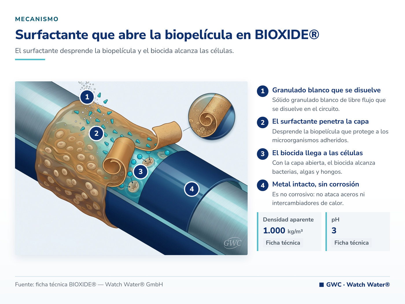 Surfactante que abre la biopelícula en BIOXIDE®: el mecanismo de BIOXIDE® aplicado a bacterias sulfato-reductoras y olores