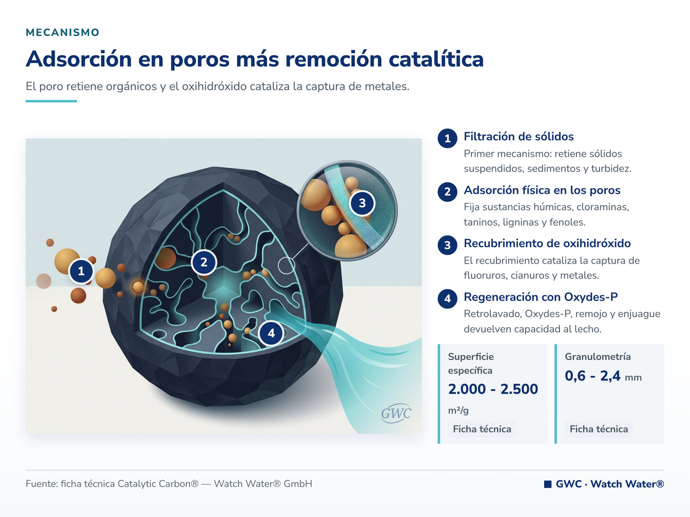 Adsorción en poros más remoción catalítica: el mecanismo de Catalytic Carbon® aplicado a boro en salmueras