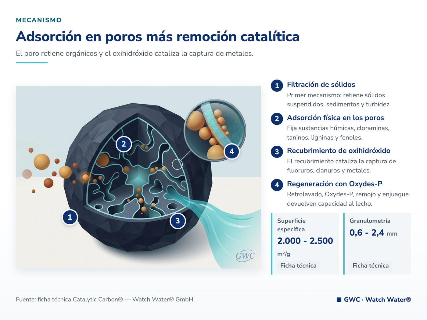 Adsorción en poros más remoción catalítica: el mecanismo de Catalytic Carbon® aplicado a cianuros en baños galvánicos