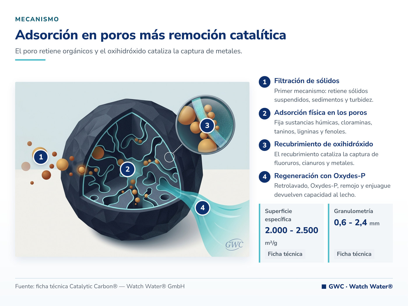 Adsorción en poros más remoción catalítica — mecanismo de Catalytic Carbon®
