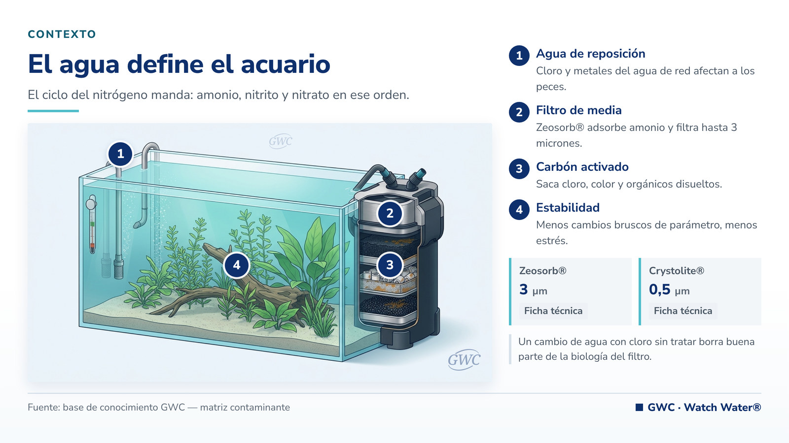 Agua para acuarios: pecera plantada con filtro externo de medias y ciclo del nitrógeno estable