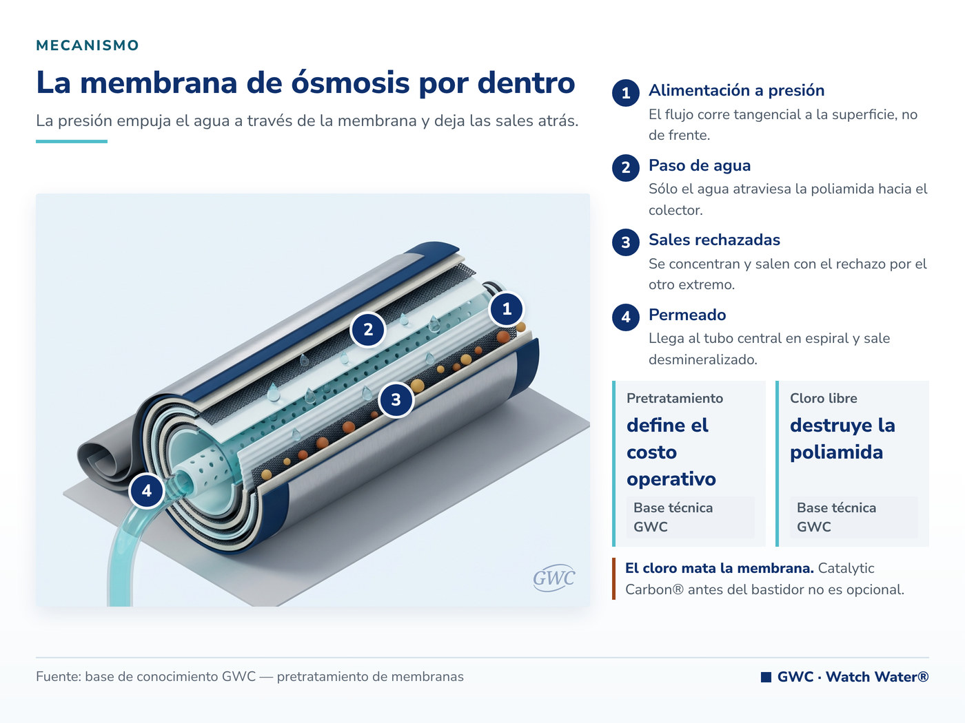 Consumo de agua de mar: la membrana de ósmosis inversa deja pasar el agua y retiene la sal