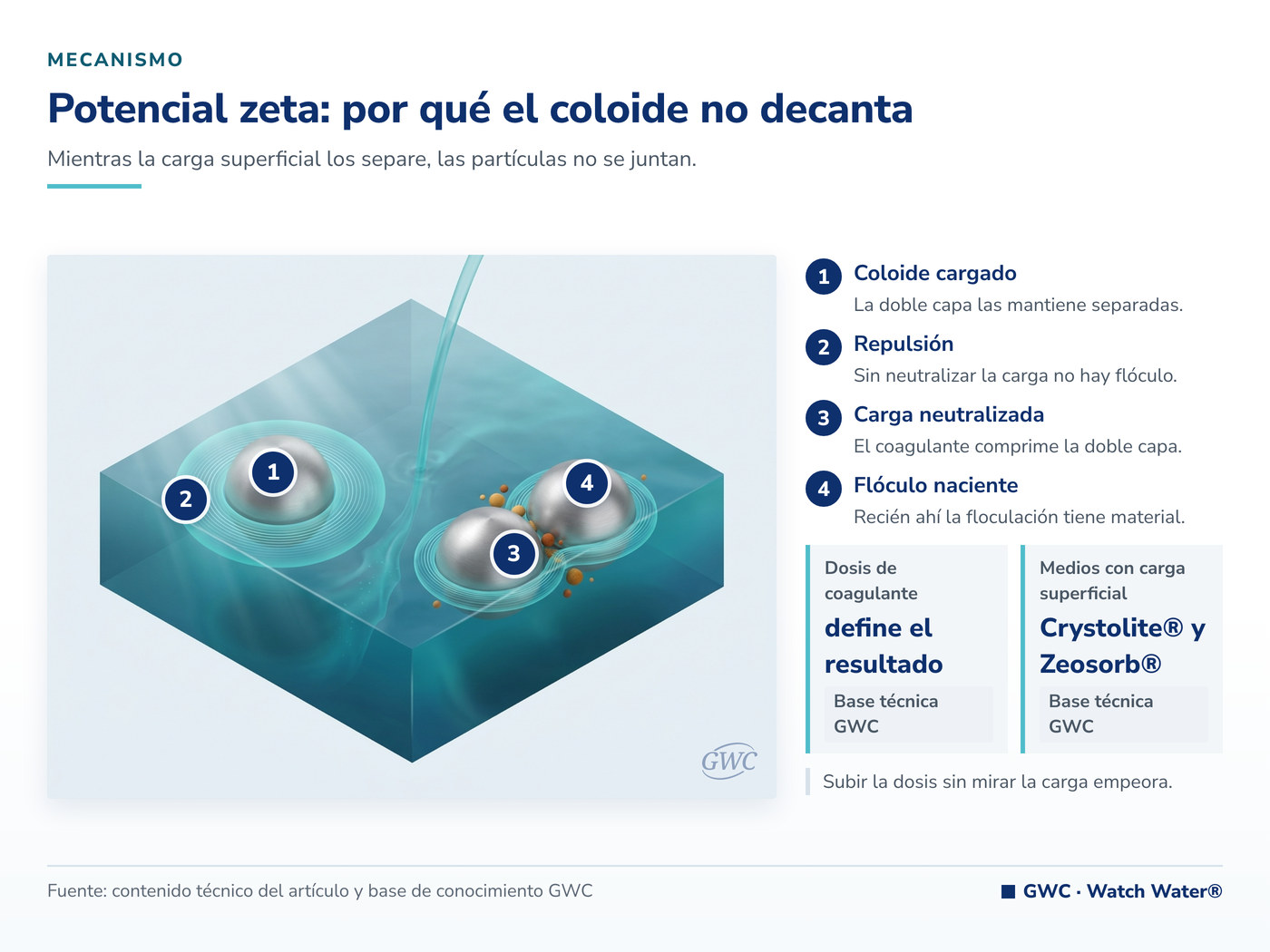 Potencial zeta: la carga superficial mantiene separadas a las partículas coloidales