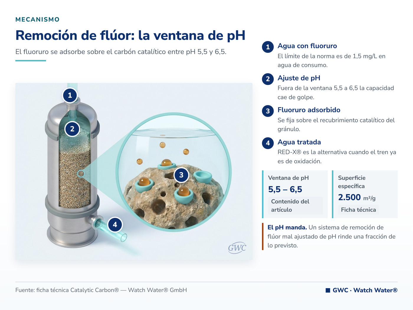 Flúor en el agua: adsorción de fluoruro en la ventana de pH del carbón catalítico