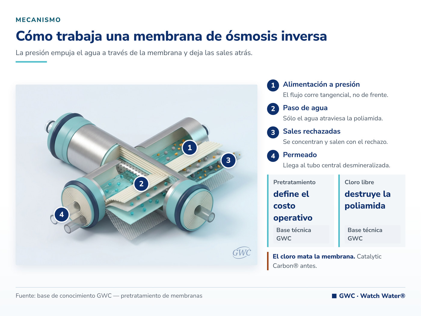 Ósmosis inversa industrial: el agua atraviesa la membrana y las sales salen con el rechazo