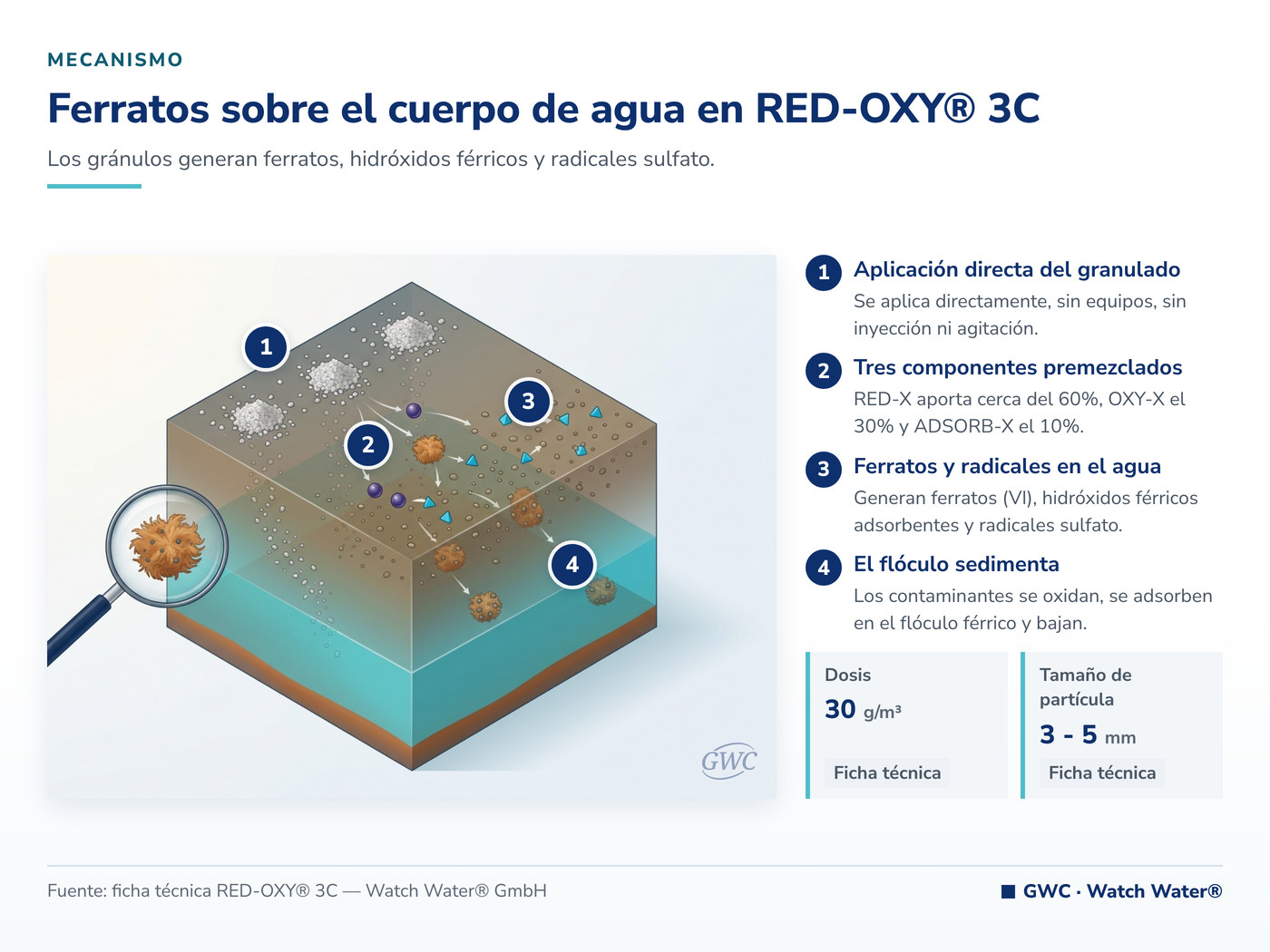 Ferratos generados sobre el cuerpo de agua en RED-OXY® 3C — mecanismo de RED-OXY® 3C