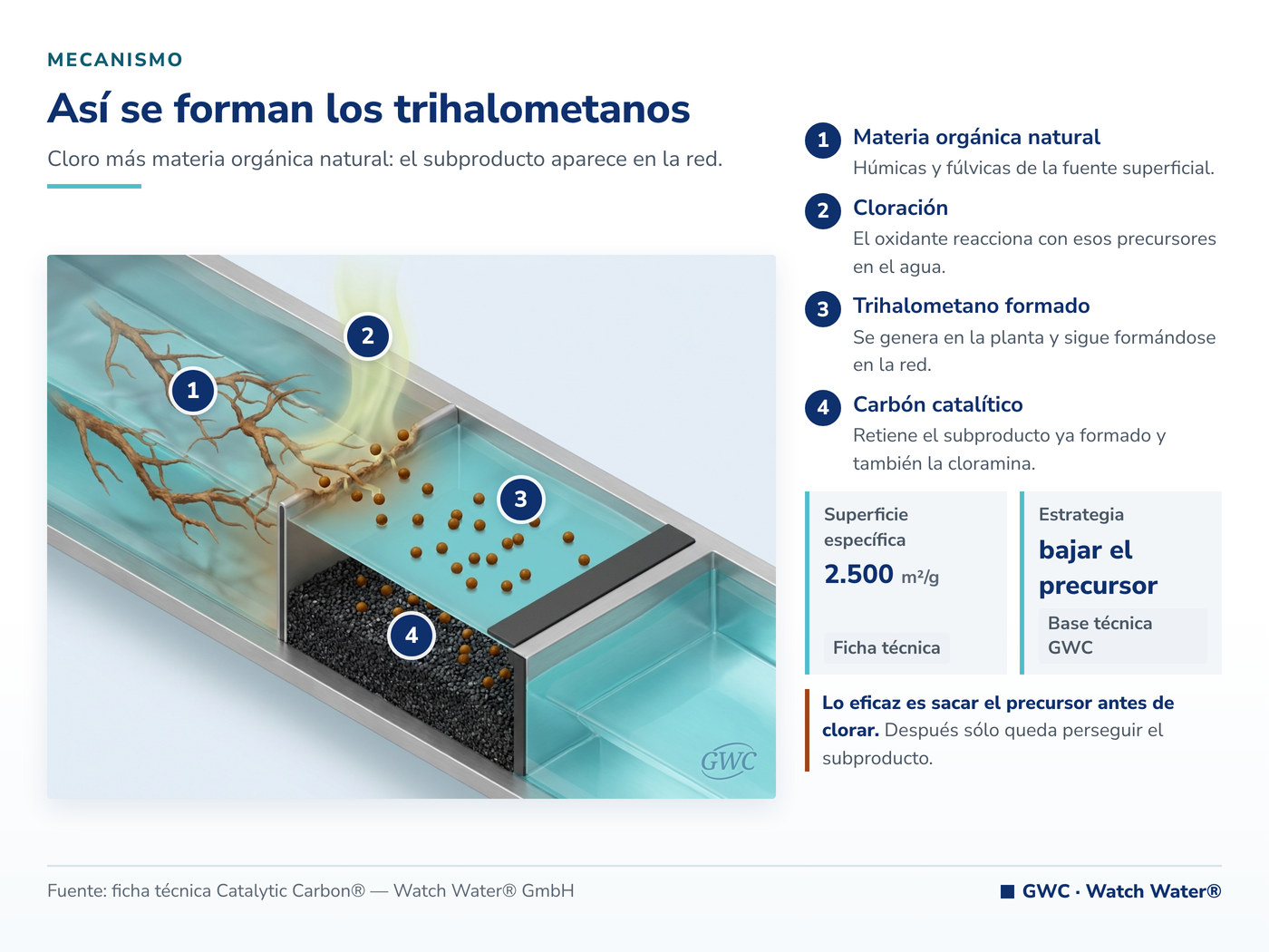 Trihalometanos en el agua: el cloro reacciona con la materia orgánica natural y los genera
